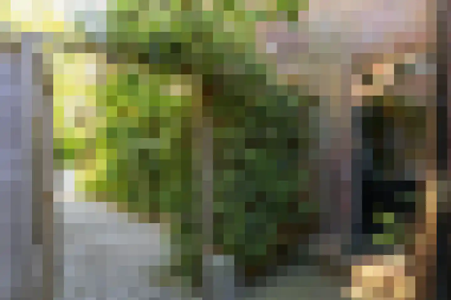 Zweerslaan 36 Bilthoven thumbnail 60