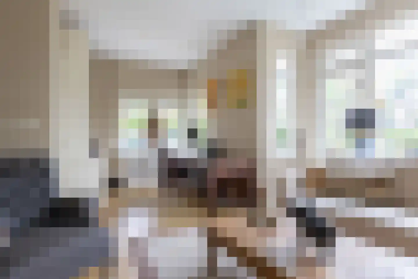 Zweerslaan 36 Bilthoven thumbnail 9