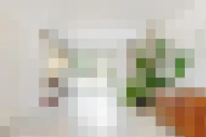 Zweerslaan 7 Bilthoven thumbnail 11