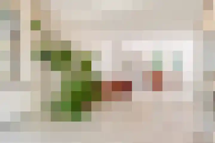 Zweerslaan 7 Bilthoven thumbnail 14