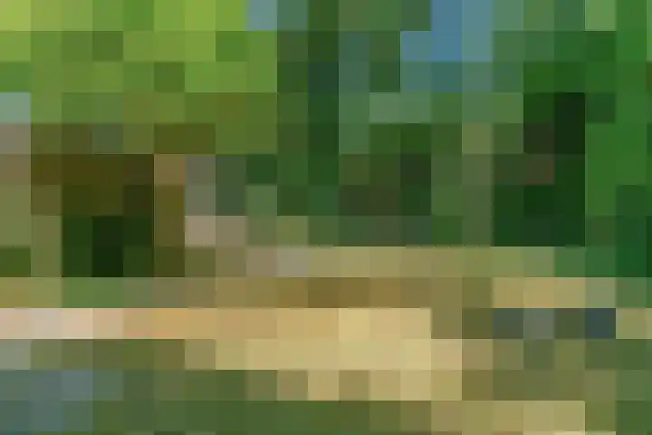 Zweerslaan 7 Bilthoven thumbnail 29