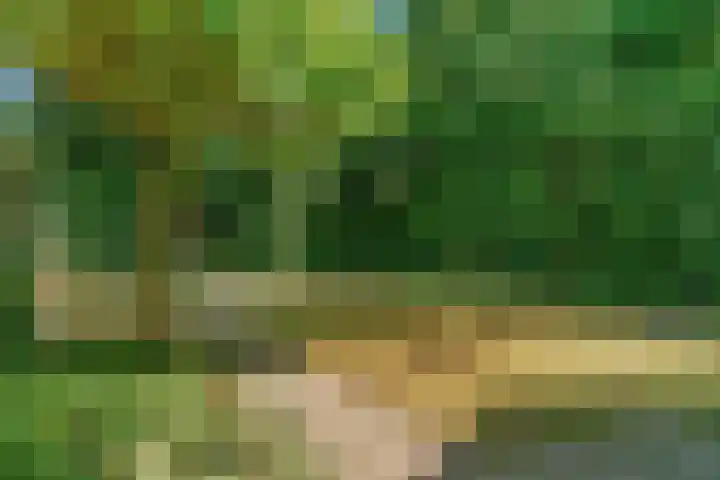 Zweerslaan 7 Bilthoven thumbnail 32