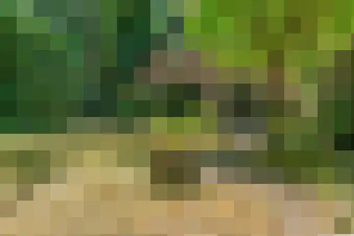Zweerslaan 7 Bilthoven thumbnail 33