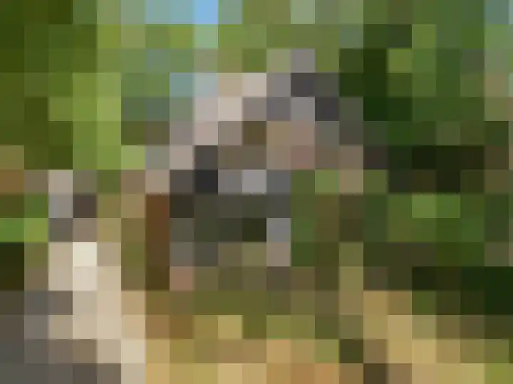 Zweerslaan 7 Bilthoven thumbnail 35