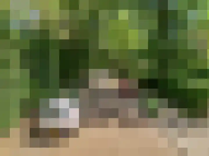 Zweerslaan 7 Bilthoven thumbnail 37