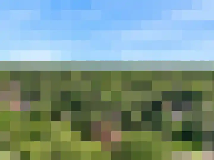 Zweerslaan 7 Bilthoven thumbnail 38