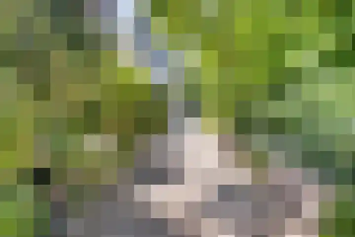 Zweerslaan 9 Son en Breugel thumbnail 10