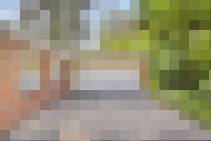 Zweerslaan 9 Son en Breugel thumbnail 11
