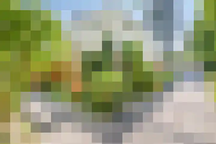 Zweerslaan 9 Son en Breugel thumbnail 13