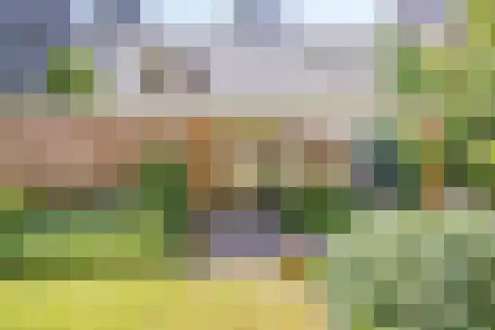 Zweerslaan 9 Son en Breugel thumbnail 14