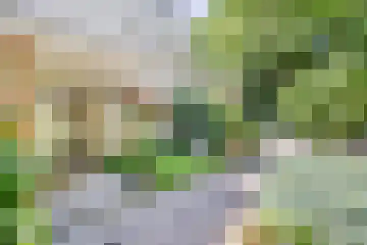 Zweerslaan 9 Son en Breugel thumbnail 15
