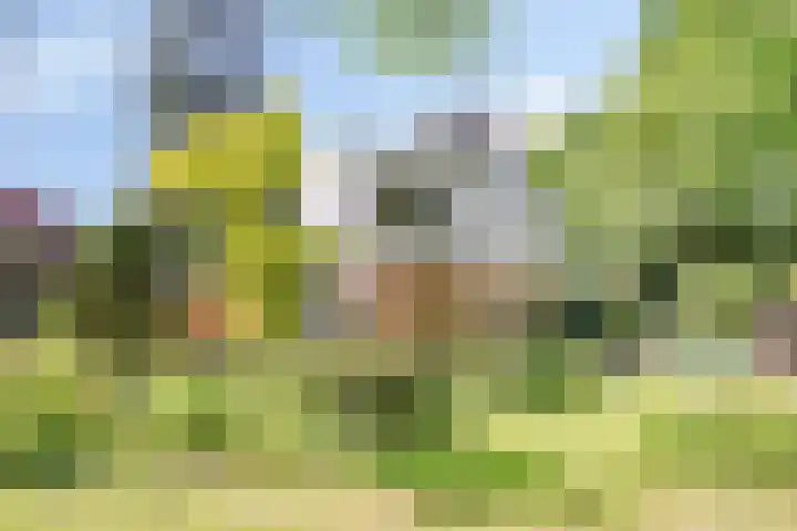 Zweerslaan 9 Son en Breugel thumbnail 16