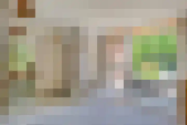 Zweerslaan 9 Son en Breugel thumbnail 19