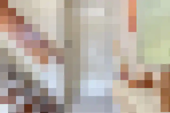 Zweerslaan 9 Son en Breugel thumbnail 22