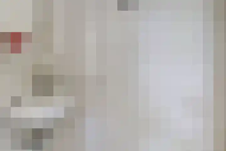 Zweerslaan 9 Son en Breugel thumbnail 23