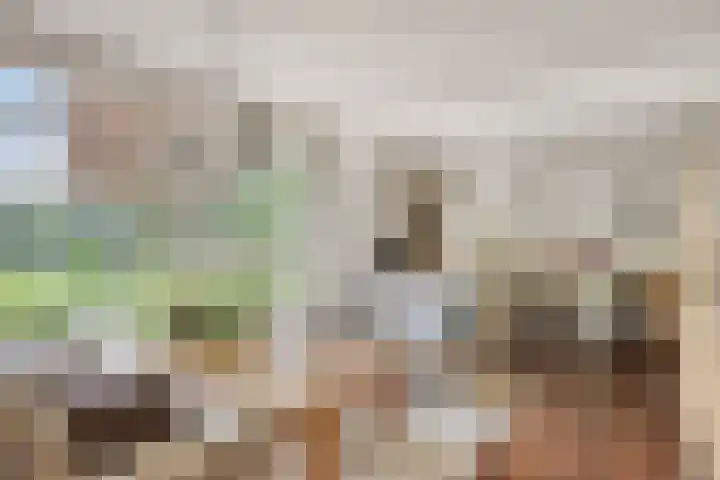 Zweerslaan 9 Son en Breugel thumbnail 27