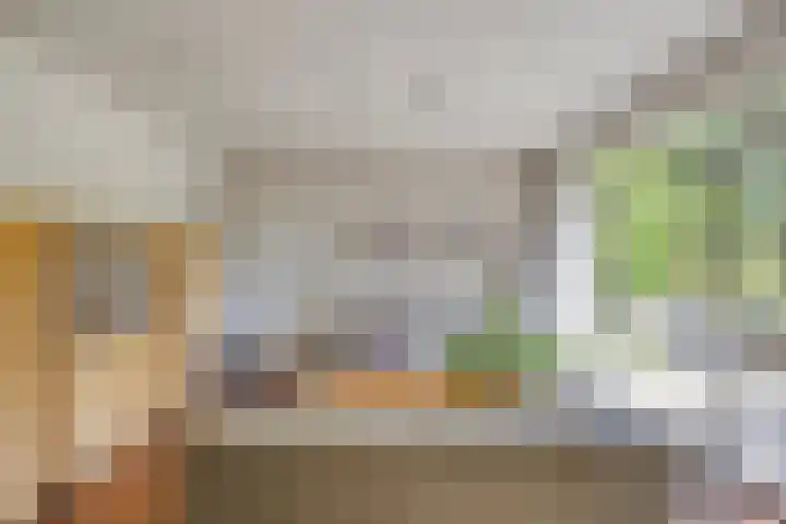 Zweerslaan 9 Son en Breugel thumbnail 28