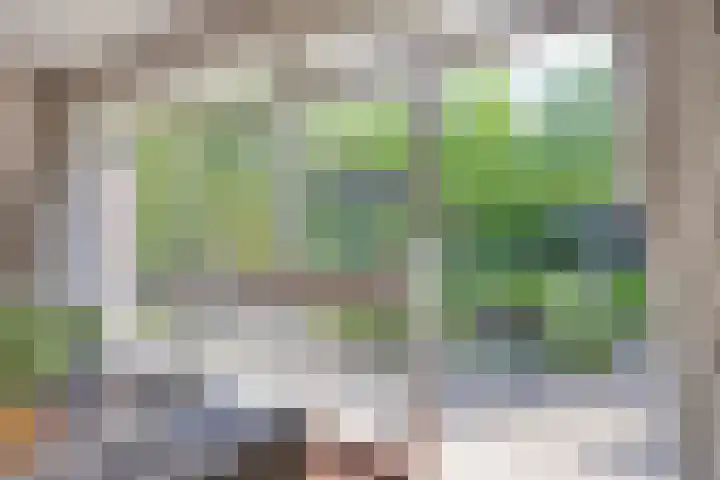Zweerslaan 9 Son en Breugel thumbnail 29