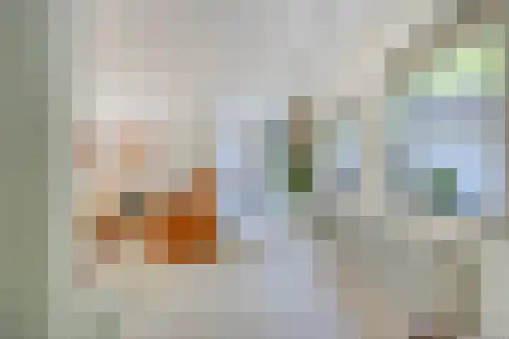 Zweerslaan 9 Son en Breugel thumbnail 37