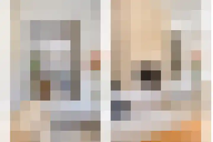 Zweerslaan 9 Son en Breugel thumbnail 39