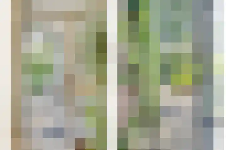 Zweerslaan 9 Son en Breugel thumbnail 4