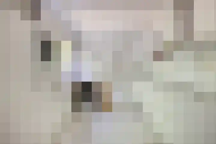 Zweerslaan 9 Son en Breugel thumbnail 42