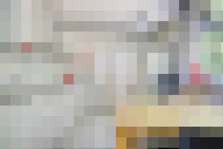 Zweerslaan 9 Son en Breugel thumbnail 43