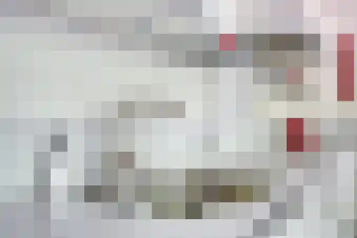 Zweerslaan 9 Son en Breugel thumbnail 44
