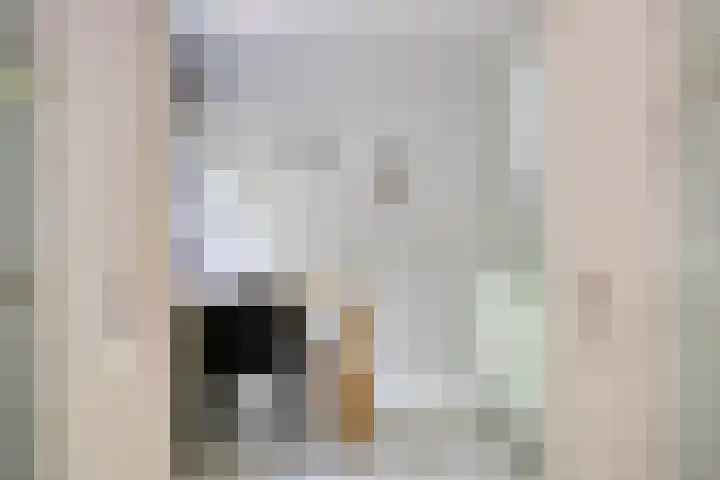Zweerslaan 9 Son en Breugel thumbnail 47