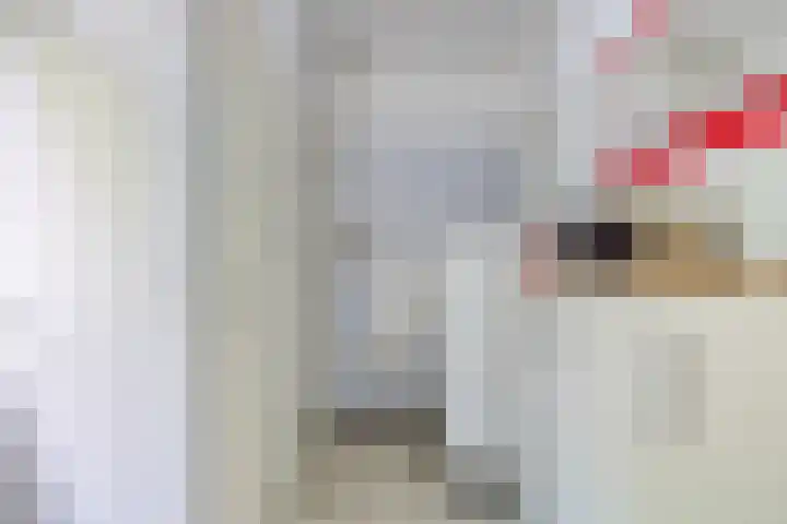 Zweerslaan 9 Son en Breugel thumbnail 48