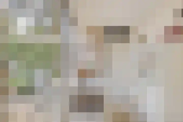 Zweerslaan 9 Son en Breugel thumbnail 50