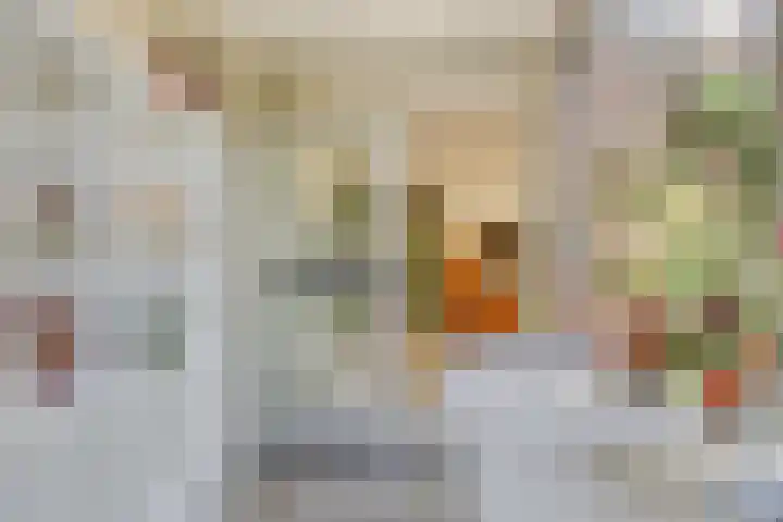 Zweerslaan 9 Son en Breugel thumbnail 51
