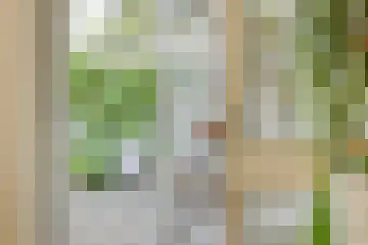 Zweerslaan 9 Son en Breugel thumbnail 52