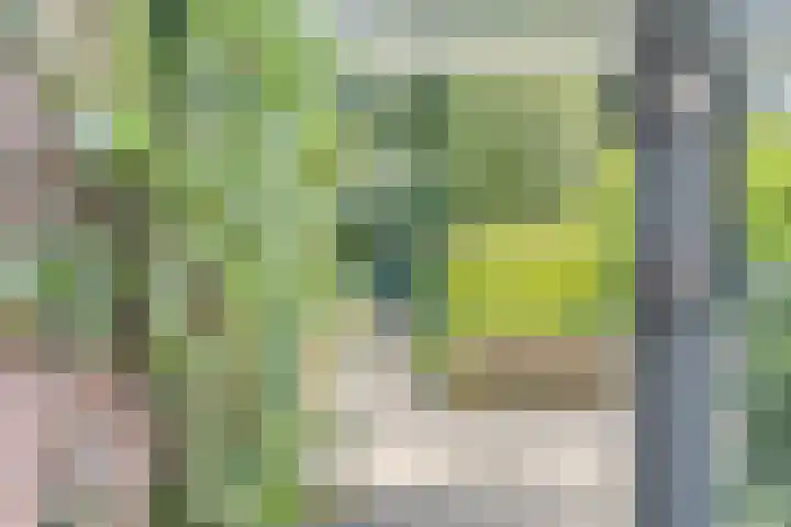 Zweerslaan 9 Son en Breugel thumbnail 53