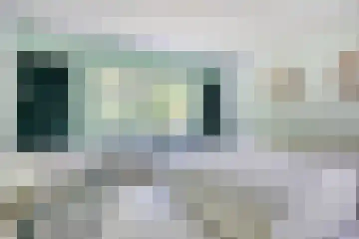 Zweerslaan 9 Son en Breugel thumbnail 59