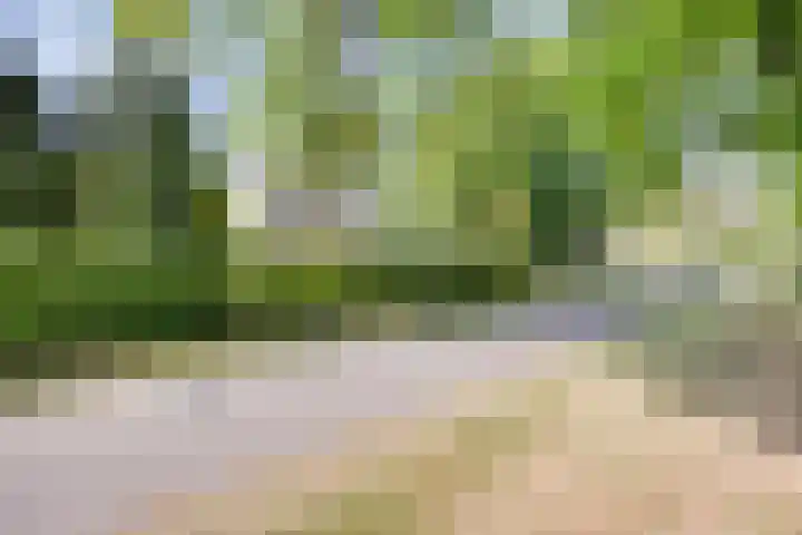 Zweerslaan 9 Son en Breugel thumbnail 6