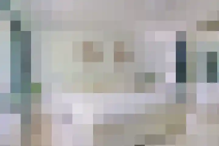 Zweerslaan 9 Son en Breugel thumbnail 61
