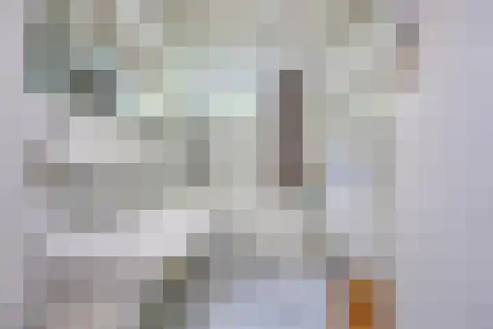 Zweerslaan 9 Son en Breugel thumbnail 62