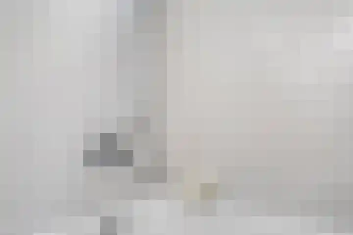 Zweerslaan 9 Son en Breugel thumbnail 65