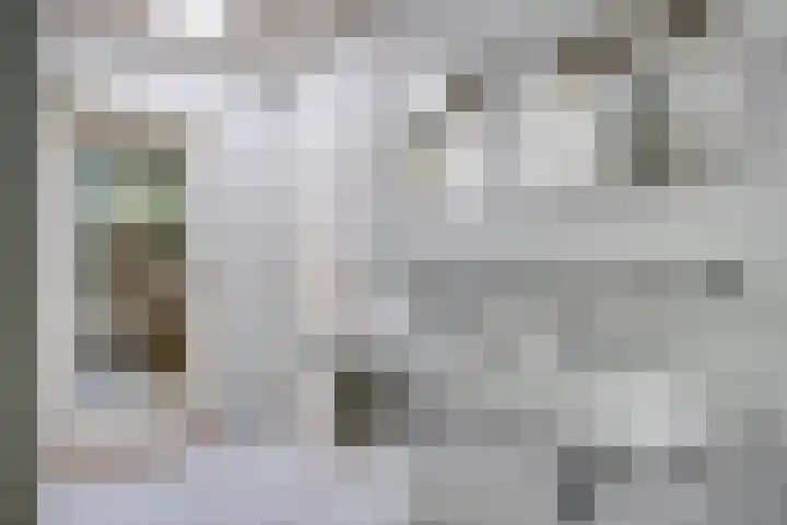 Zweerslaan 9 Son en Breugel thumbnail 67