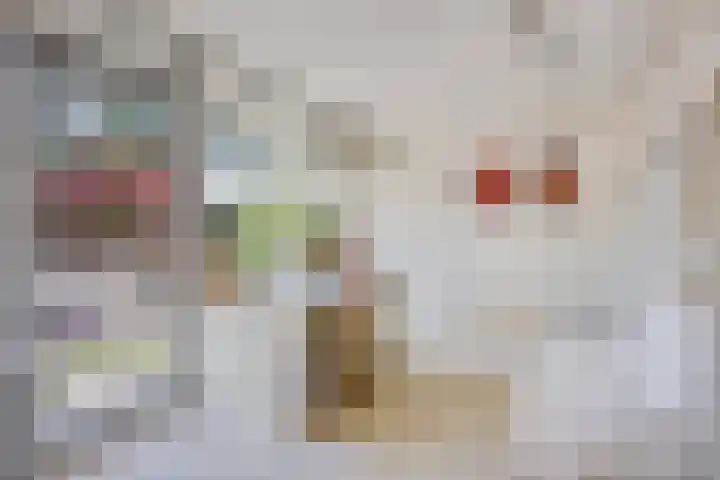 Zweerslaan 9 Son en Breugel thumbnail 68