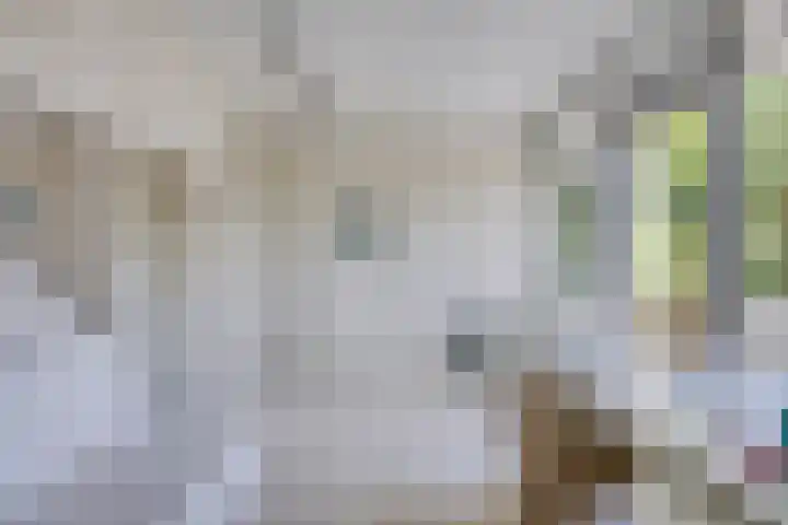 Zweerslaan 9 Son en Breugel thumbnail 69