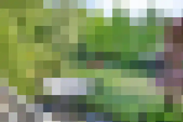 Zweerslaan 9 Son en Breugel thumbnail 70