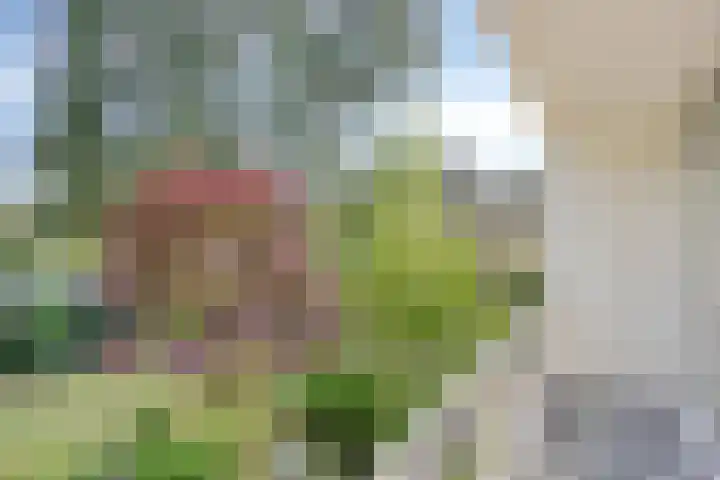 Zweerslaan 9 Son en Breugel thumbnail 71