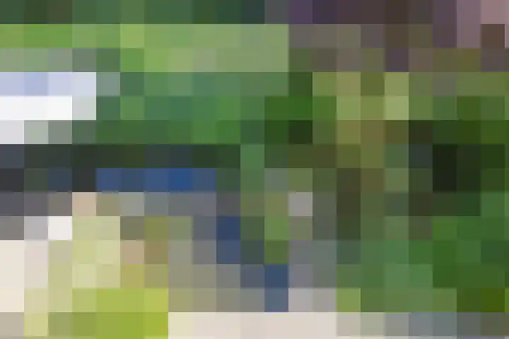 Zweerslaan 9 Son en Breugel thumbnail 72