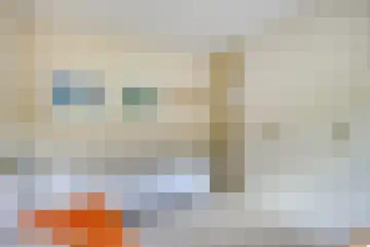 Zweerslaan 9 Son en Breugel thumbnail 74