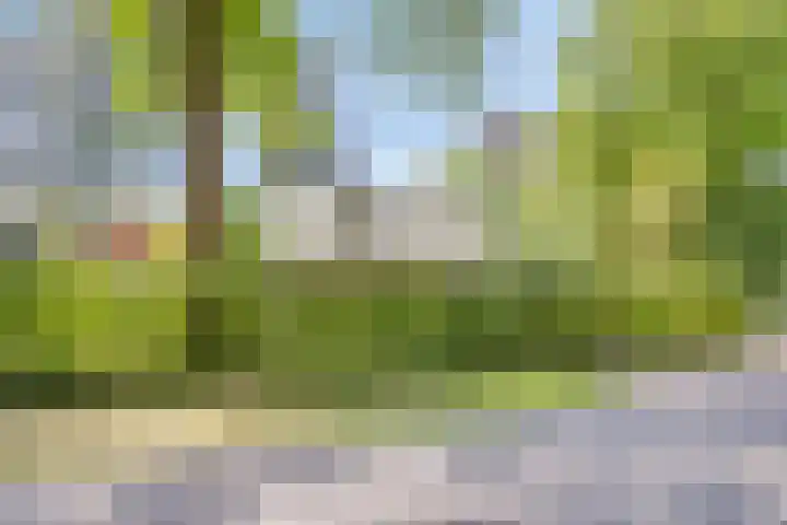 Zweerslaan 9 Son en Breugel thumbnail 8