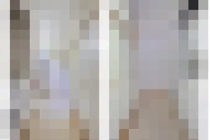 Zweerslaan 9 Son en Breugel thumbnail 81
