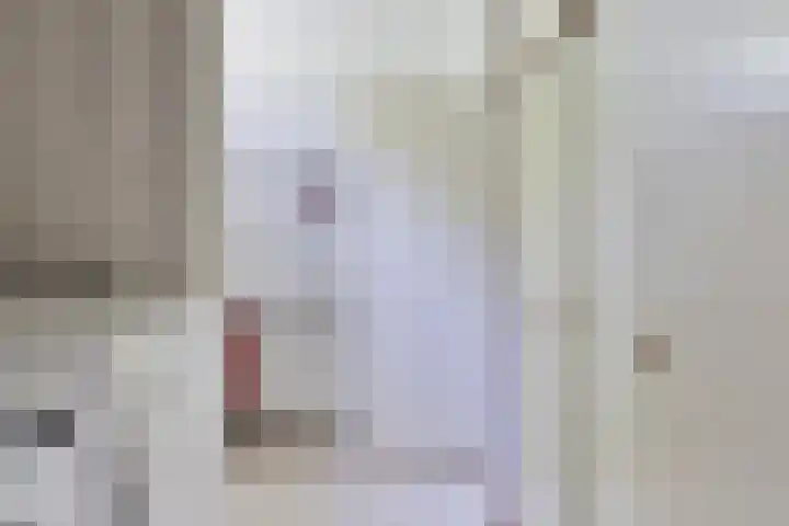 Zweerslaan 9 Son en Breugel thumbnail 82