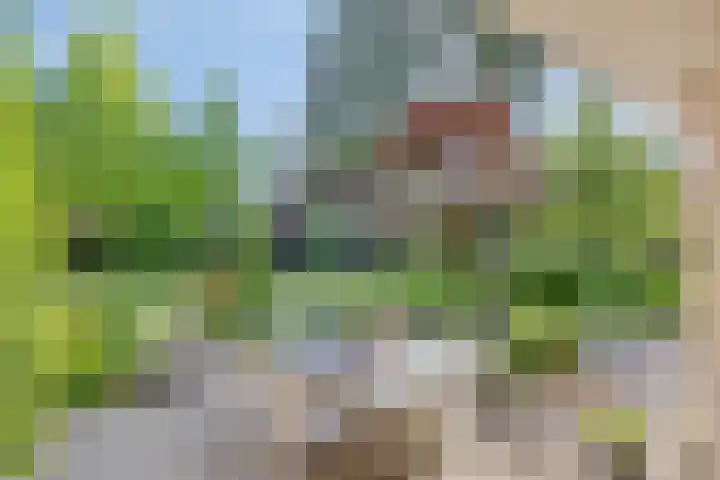 Zweerslaan 9 Son en Breugel thumbnail 86